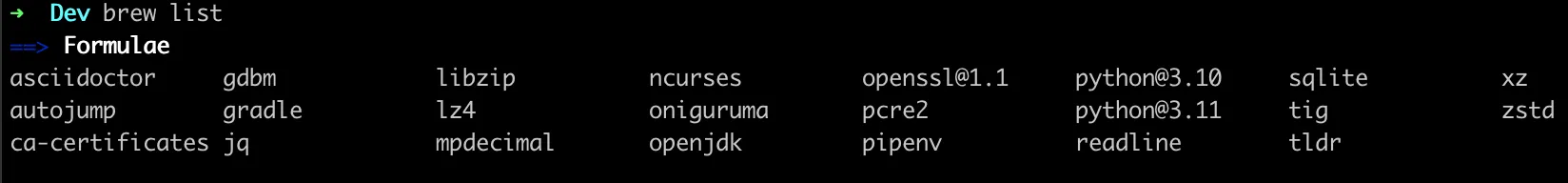 List of packages installed with homebrew